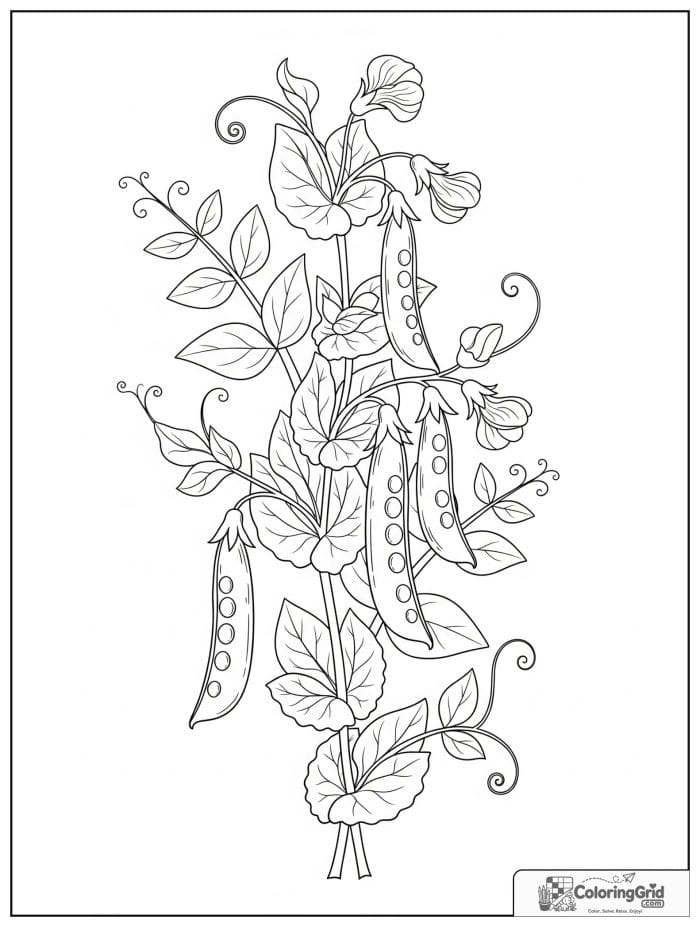 Vegetable coloring page featuring a pea pod vine climbing a trellis.