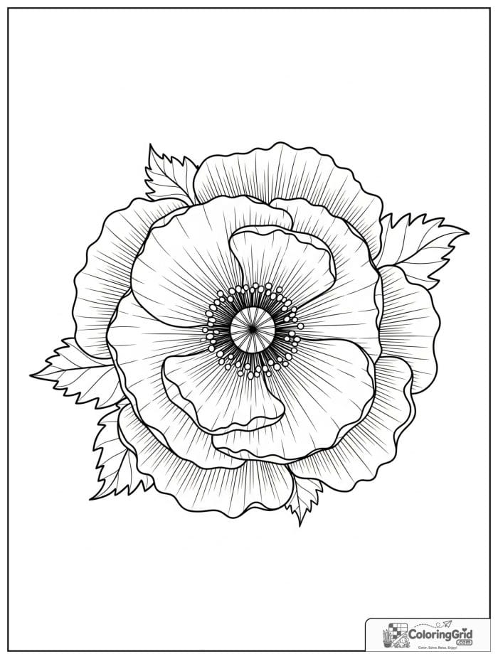 Flower mandala with broad poppy petals and rounded centers.