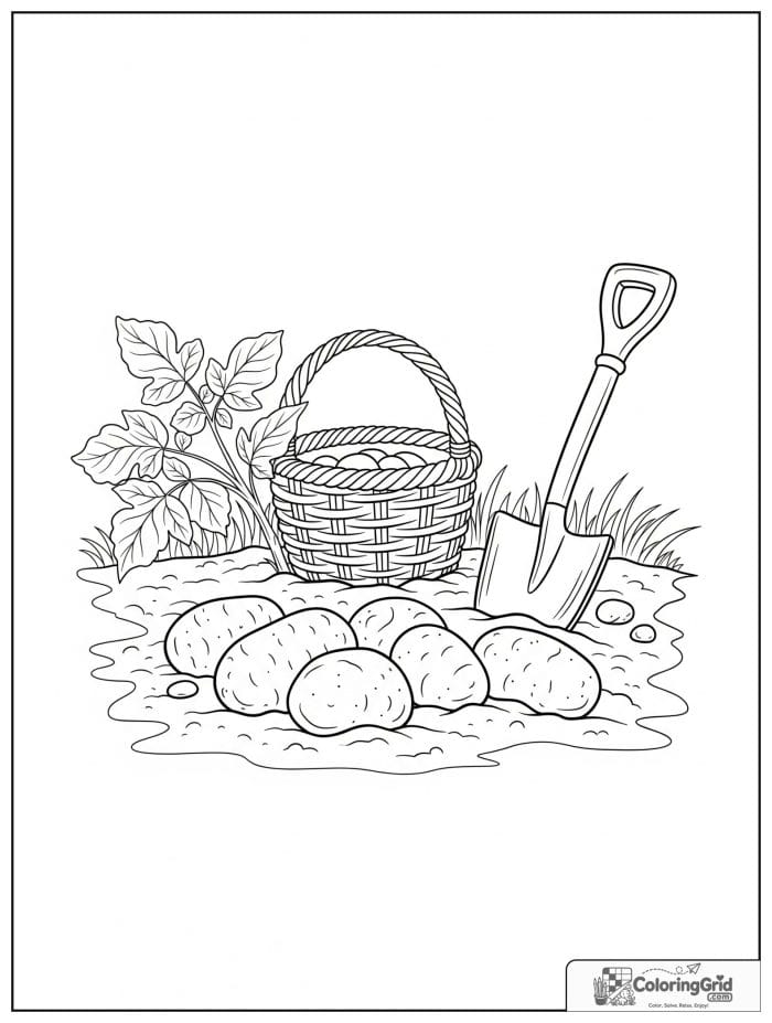 Vegetable coloring page featuring a potato harvest scene.