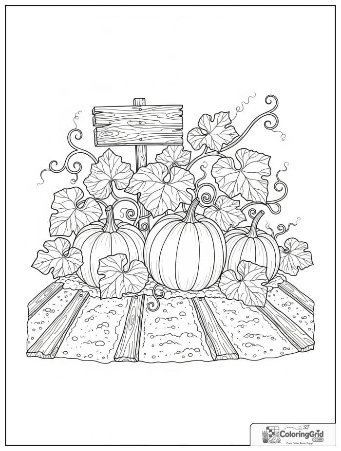 Garden coloring page featuring a pumpkin patch garden.