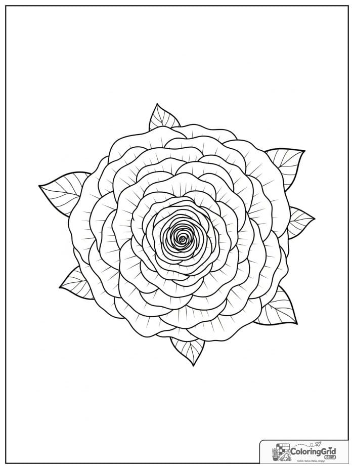 Flower mandala design with layered rose petals in a circular arrangement.