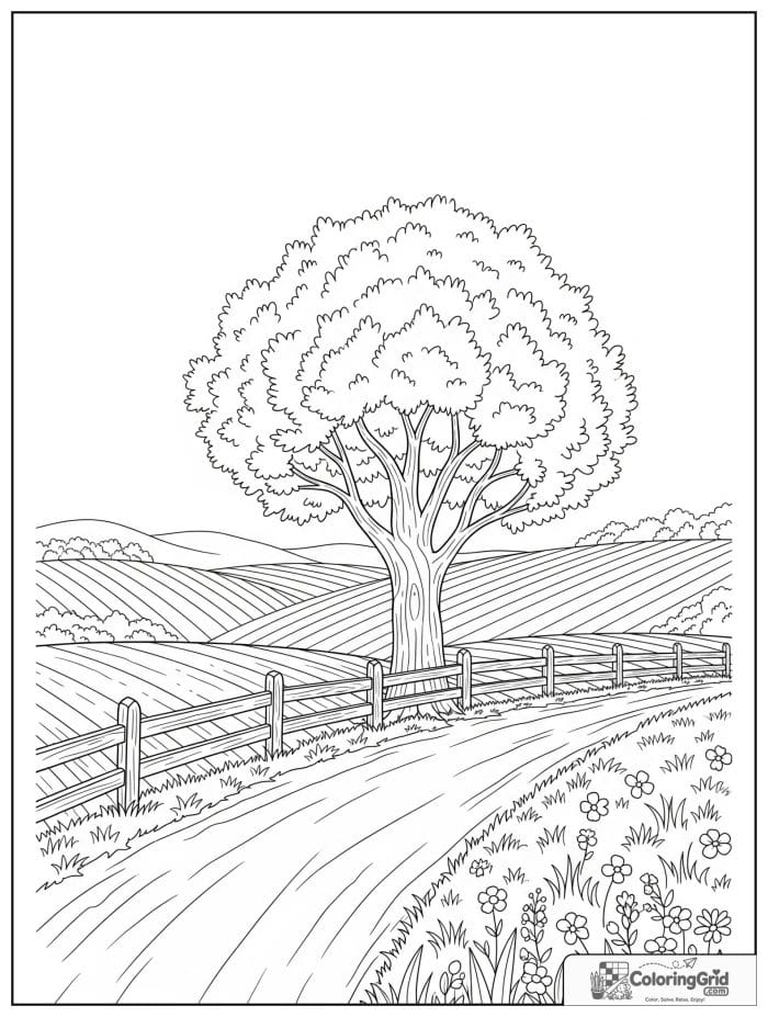 Simple and cozy cypress tree beside a country road.
