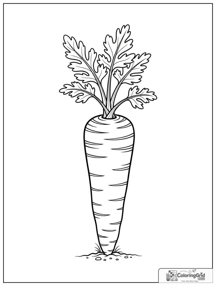 Single carrot with leafy top in black and white line art