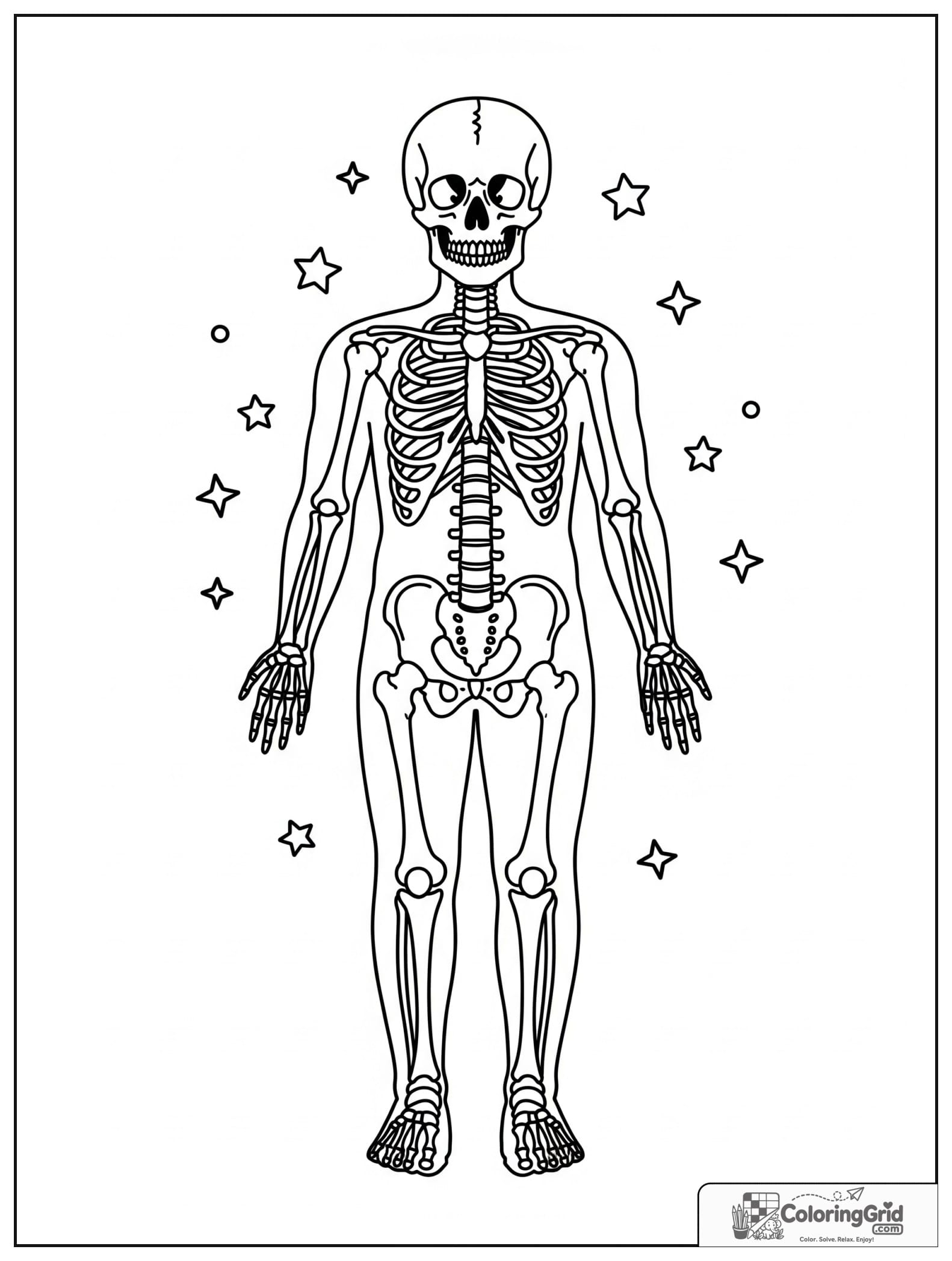 Cute skeletal system full body diagram with small stars.
