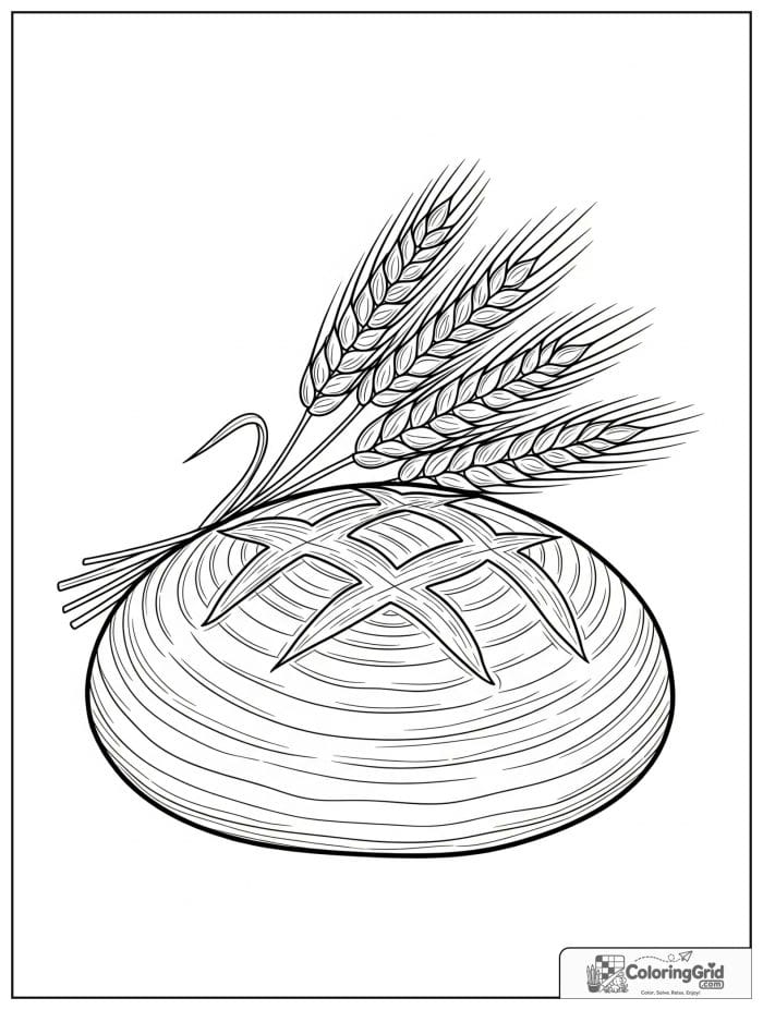 Sourdough loaf with scoring for Bread Coloring Pages