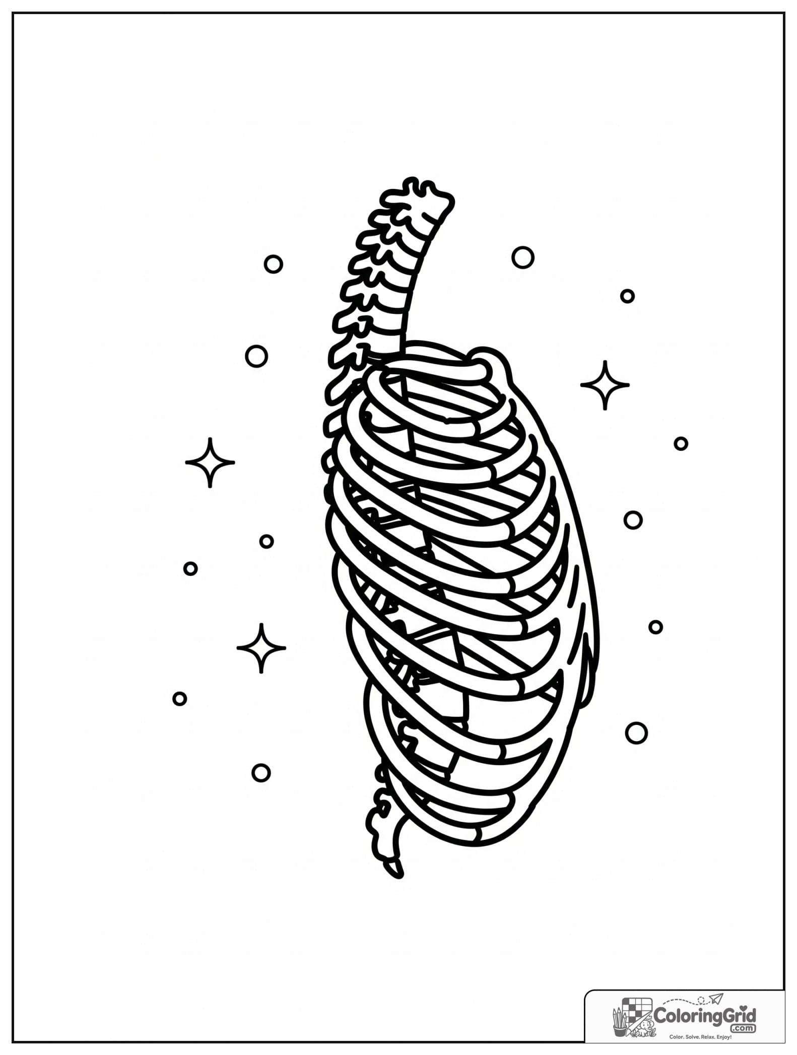Cute spine and ribs diagram with small star details.