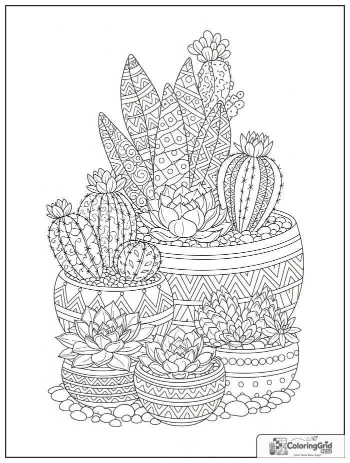 Garden coloring page featuring succulents and cactus plants.