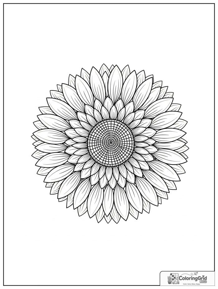 Mandala coloring page featuring a sunflower ring.