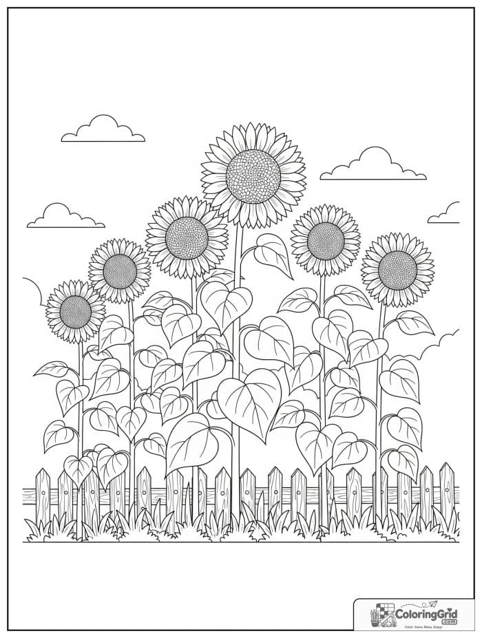 Garden coloring page featuring a row of tall sunflowers.