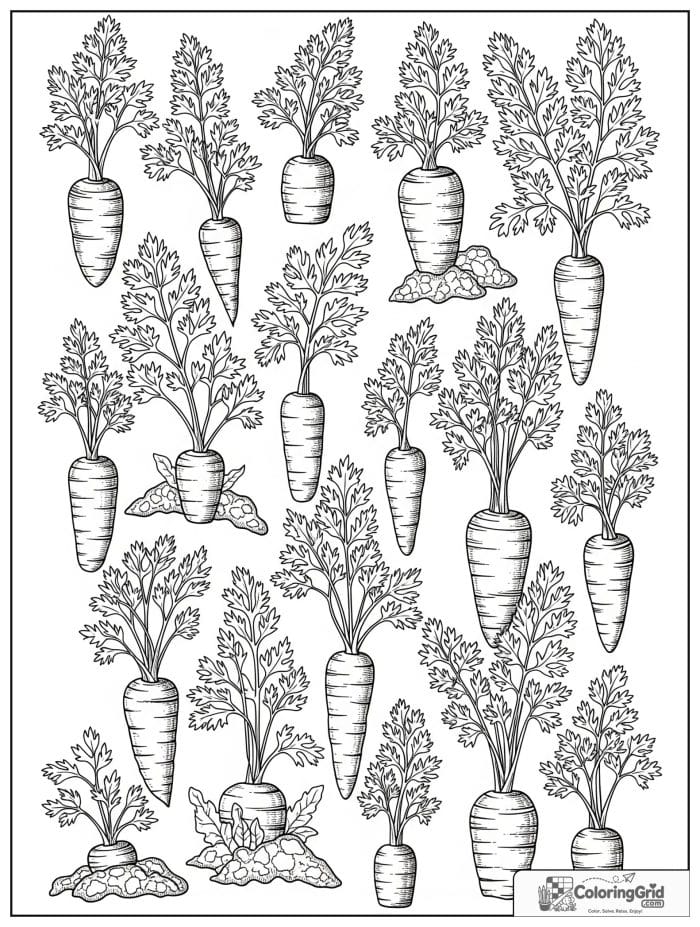 Top view carrot patch black and white artwork