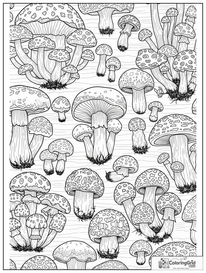 Top view mushroom patch black and white artwork