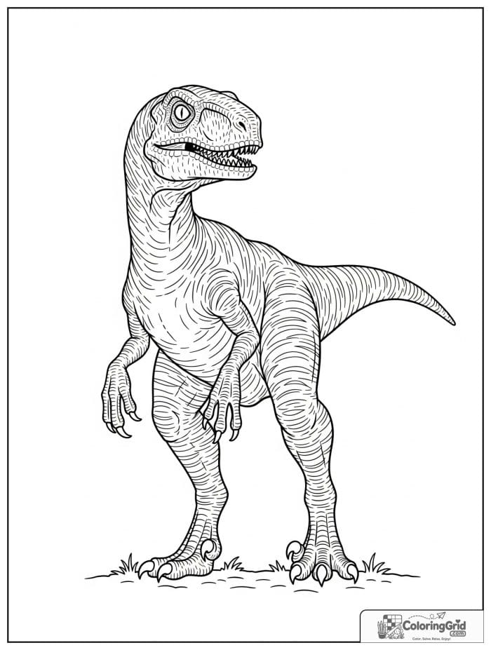 Velociraptor coloring page featuring a pose that highlights the claws.
