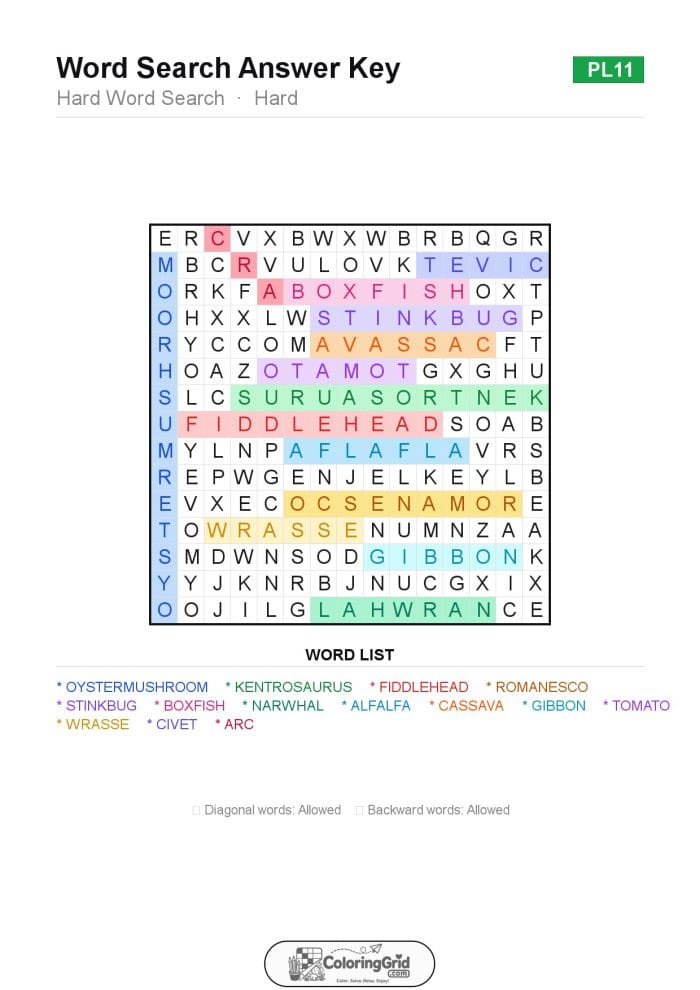 Word Search HARD - Hard Word Search Puzzle 011 - ANSWER