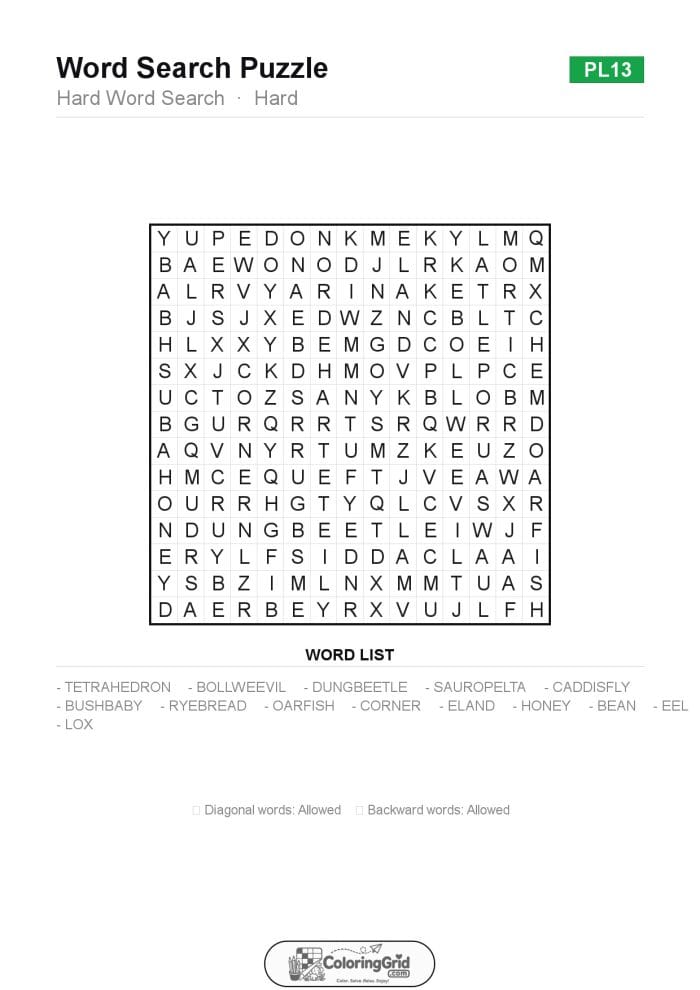 Word Search HARD - Hard Word Search Puzzle 013