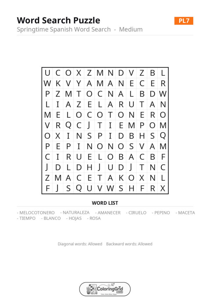 Word Search MEDIUM - Springtime Spanish Word Search Puzzle 007