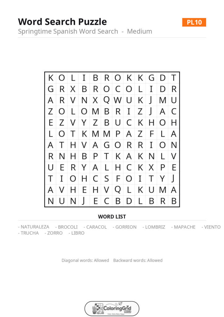 Word Search MEDIUM - Springtime Spanish Word Search Puzzle 010