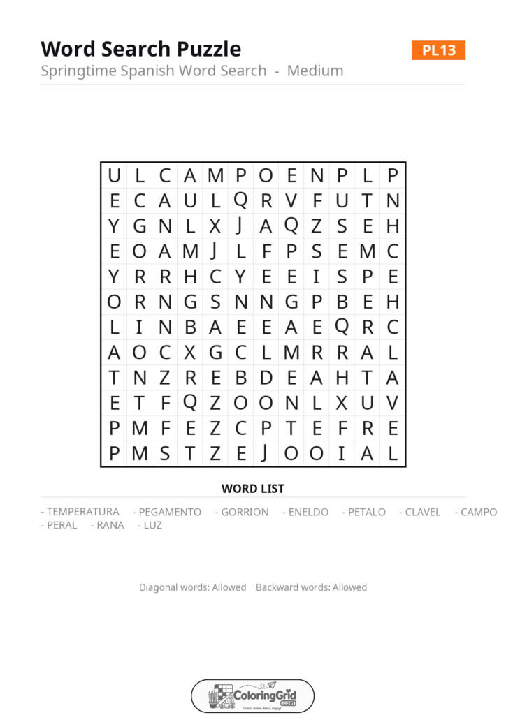 Word Search MEDIUM - Springtime Spanish Word Search Puzzle 013